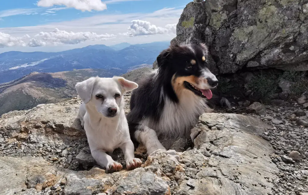 Lucy & Bella
